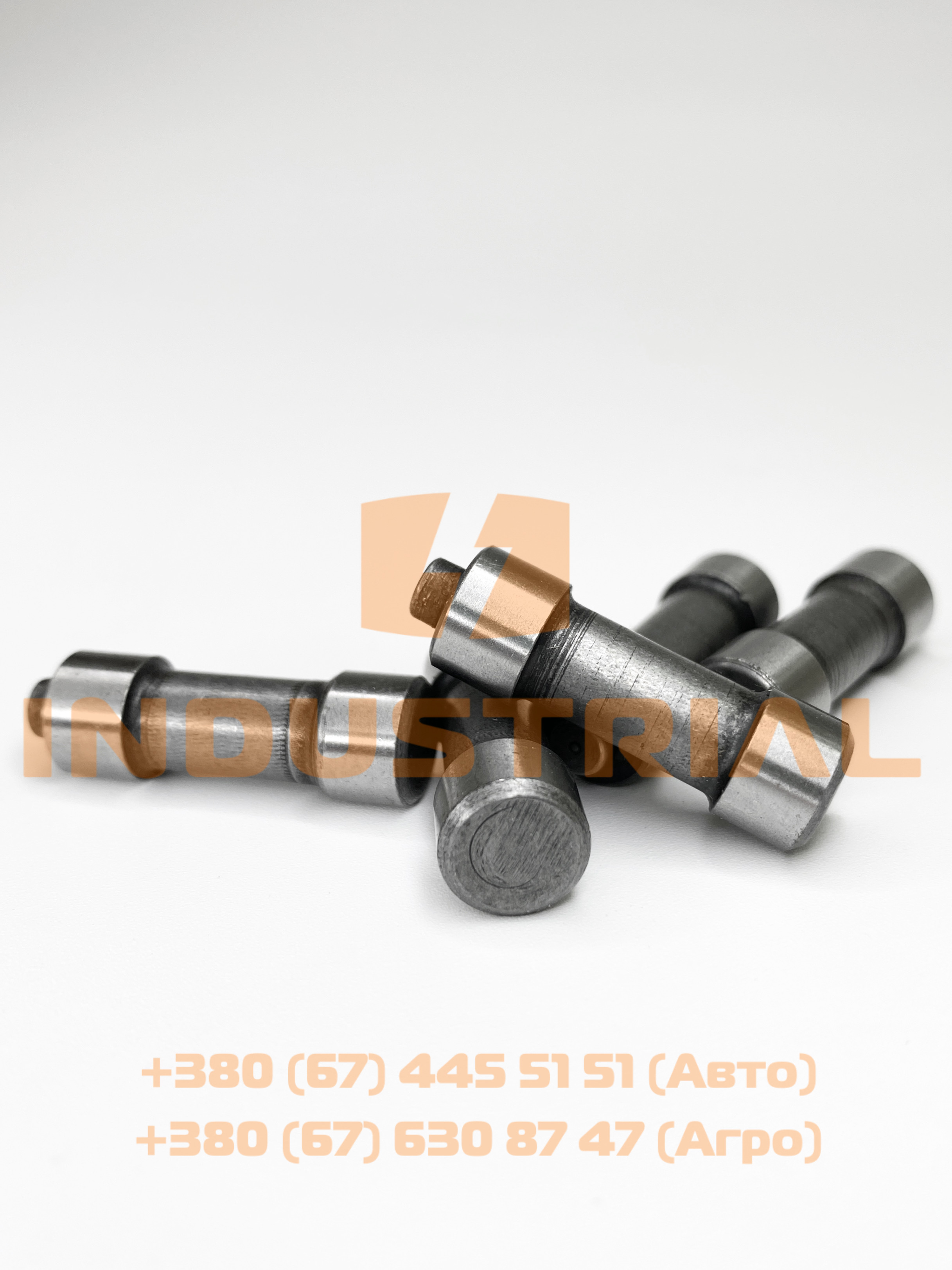 IVE 0058365
